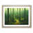 Oak Framed