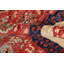 Aryana Wool Oriental Area Rug