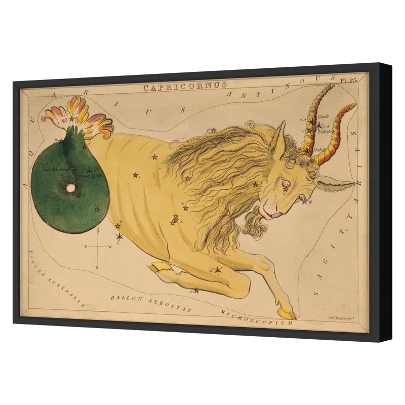 Capricorne par Grand archives - Reproduction sur papier d'une seule photo, Cadre noir, H 22 po x l 31 po