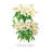 Rhododendron Augustinii and Its White Form by H.G. Moon Painting Print
