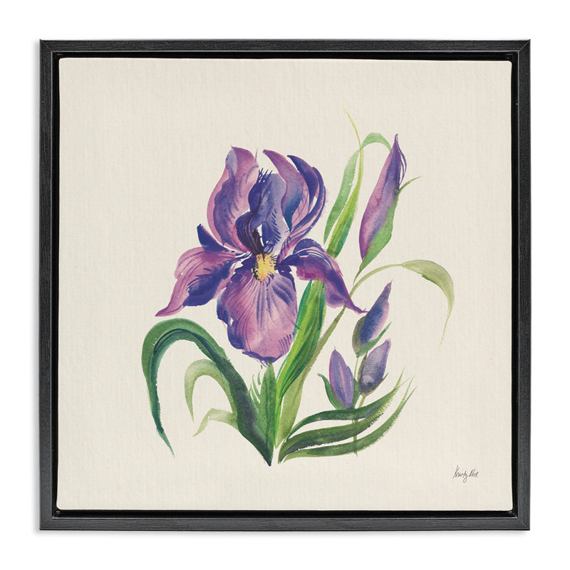 «Mauve Iris Flower», art mural sur toile flottante par Kristy riz, Cadre flottant noir de jais, H 25 po x l 25 po