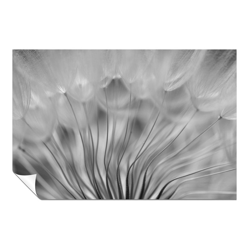 Dandelion Soft Floral - No Frame Print, 31cm H x 46cm W