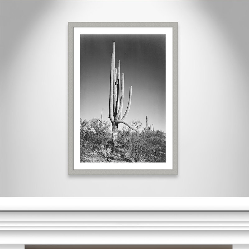 «Lyliana Cactus in Saguaro National Monument in Arizona», reproduction de photo encadrée