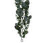 Vickerman 6' Green Eucalyptus Garland.