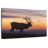 Crowle Elk At Sunrise-111859329