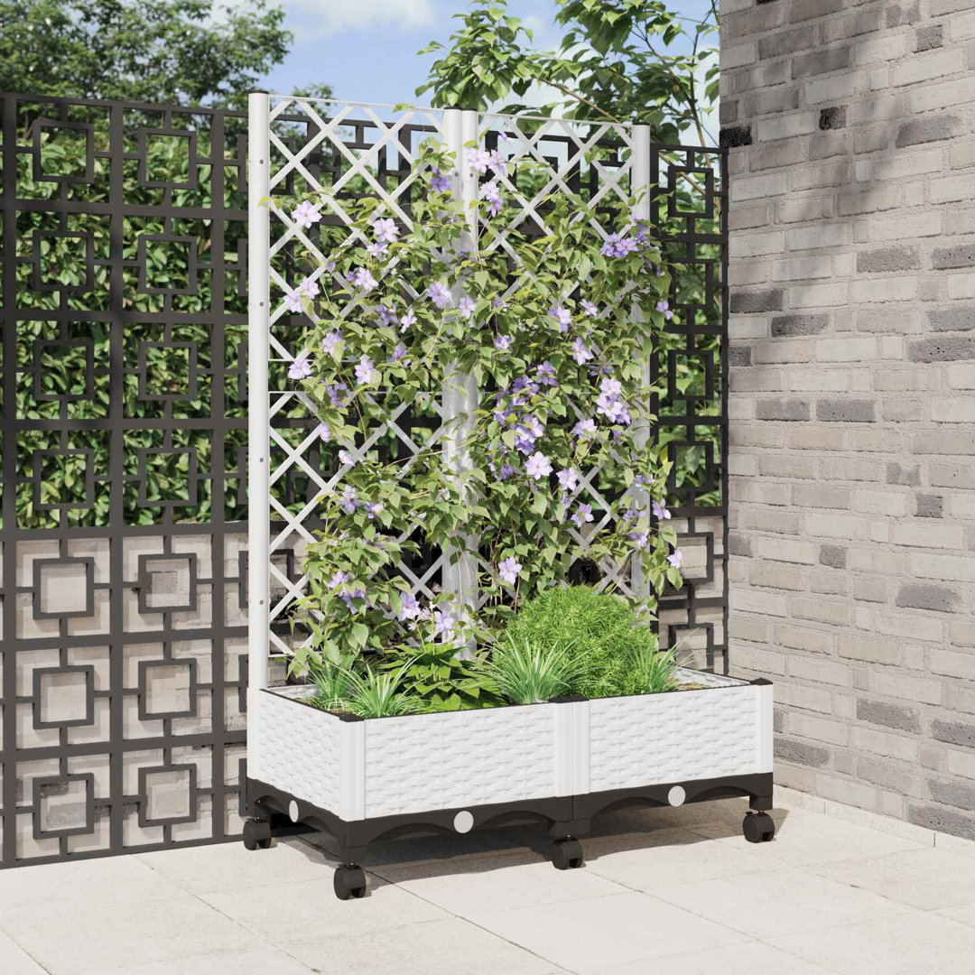 Planter Box
