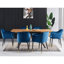 Holdenville Modern Velvet Dining Chairs - Ergonomic Button Back with Metal Legs - Armchair for Living Room Dining Room Restaurants Set of 2-637913052-637913055