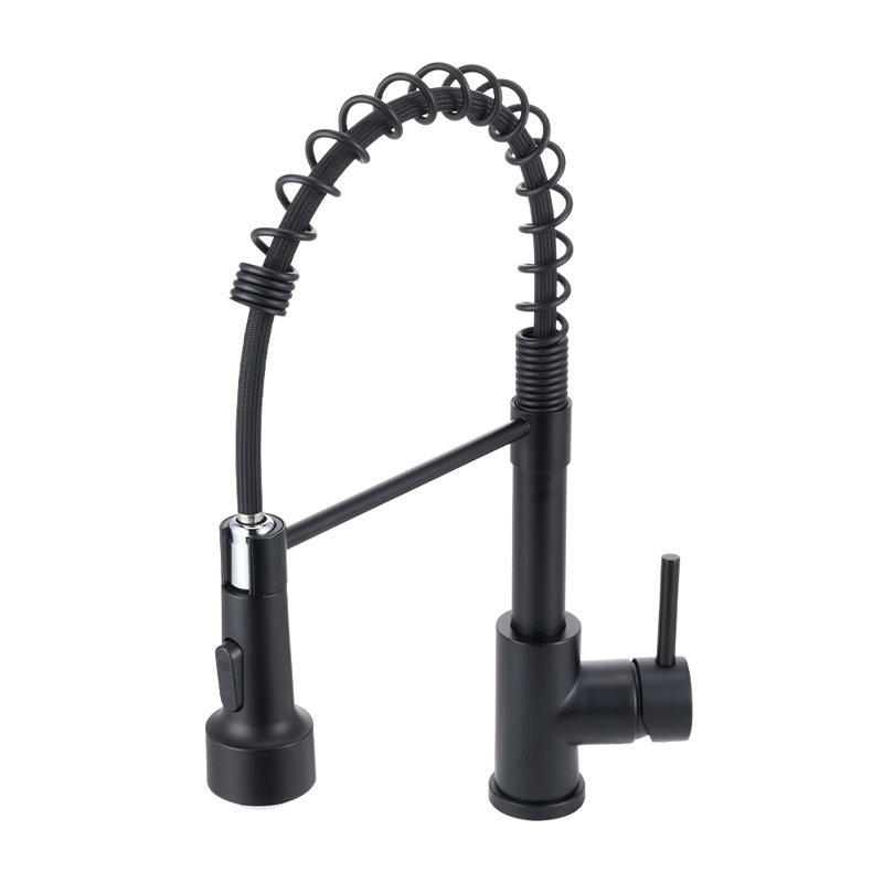 Belfry Kitchen Pull Out Kitchen Faucet, Black