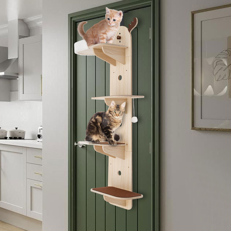 Structure d'escalade pour chat à 4 niveaux Fruin 59 H, échelle pour chat