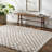 Cabble Rectangle Checkered Machine Woven Polyester Area Rug in Tan/White-544345938