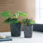 Petit pot de fleurs 7,5 x 7,5 x 15 po-1954412581