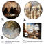 Art de l'Islam-1345509730-1345509733