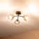 Parab LED Accent