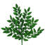 Vaporisateur miel-1744285900-1744285906