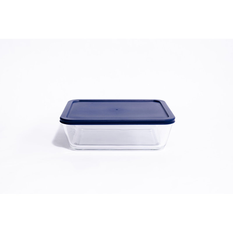 Donamarie 89.61oz. Food Storage Container, Blue
