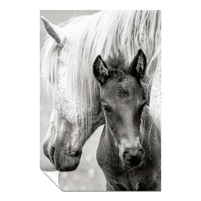Pony & Mother Affection 1 Piece Wall Art