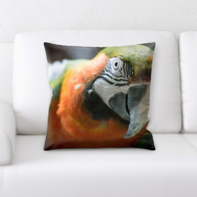 Coussin décoratif