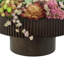 Assortiment de plantes succulentes dans un vase sur pied en bois