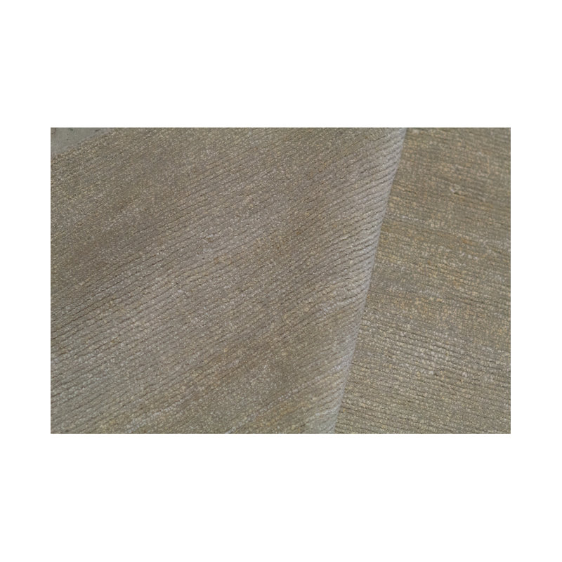 Area Rug in Beige