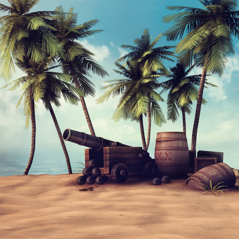 Cannon And Barrels On A Beach by FairytaleDesign - Wrapped Canvas Print, 91cm H x 91cm W
