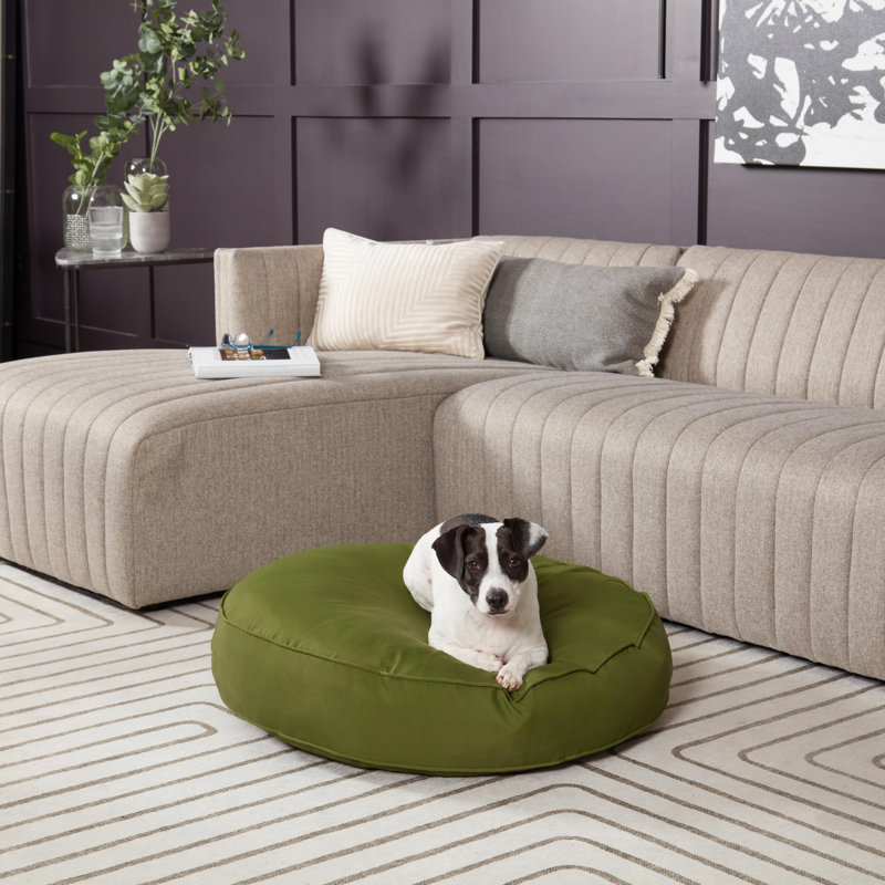 Lit-coussin pour chien Gordie, Moyen (l 30 po x P 36 po x H 5 po), Vert