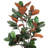 Faux Magnolia Plant in Pot-508523337