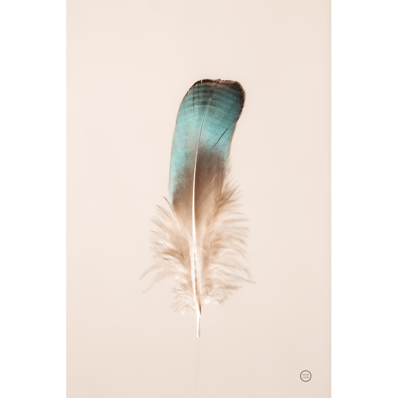 " Floating Feathers IV ", 12" H x 18" W x 1.25" D