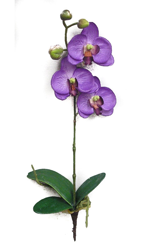 Arrangement floral orchidées, Lavande