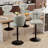Sonja Swivel Adjustable Height Bar Stools With Back And Footrest-1918594213