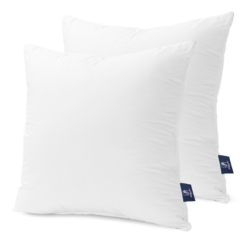 Insert de coussin décoratif fantôme 100% coton Phantoscope, Carré H 20 po x l 20 po