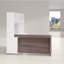 Idael 2 Piece Executive Desk Office Set-1843312503