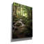 «Lush Creek in Forest» par Debra Van Swearingen, art mural sur toile-112483287