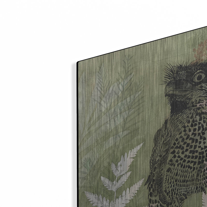 «Tawny Frog Mouth» par trudy riz, H 24 po x l 16 po