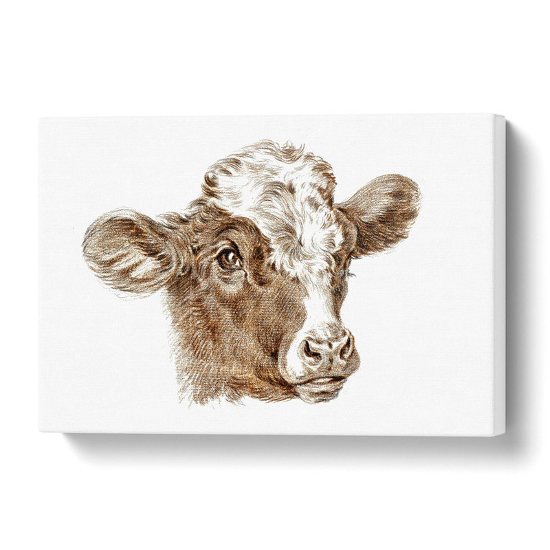 Cow Calf by Jean Bernard - Wrapped Canvas Painting, 35 cm H x 50 cm W
