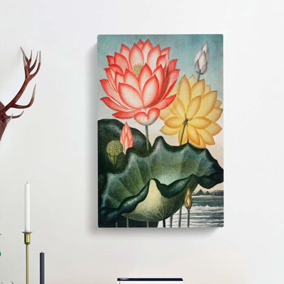 Water Lilies by R.J. Thornton - Wrapped Canvas Painting