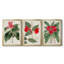 «Flora Of The Tropics I», toile encadrée de qualité supérieure - prête à être accrochée-69983262-69983261