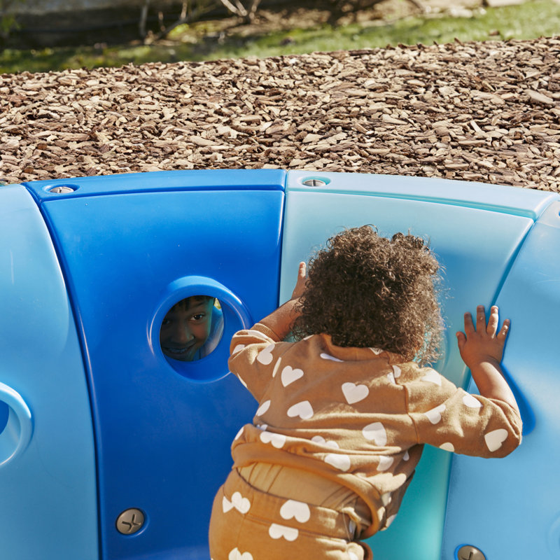 ECR4Kids Willow Climb-N-Crawl Whale, Mega, Play Structure