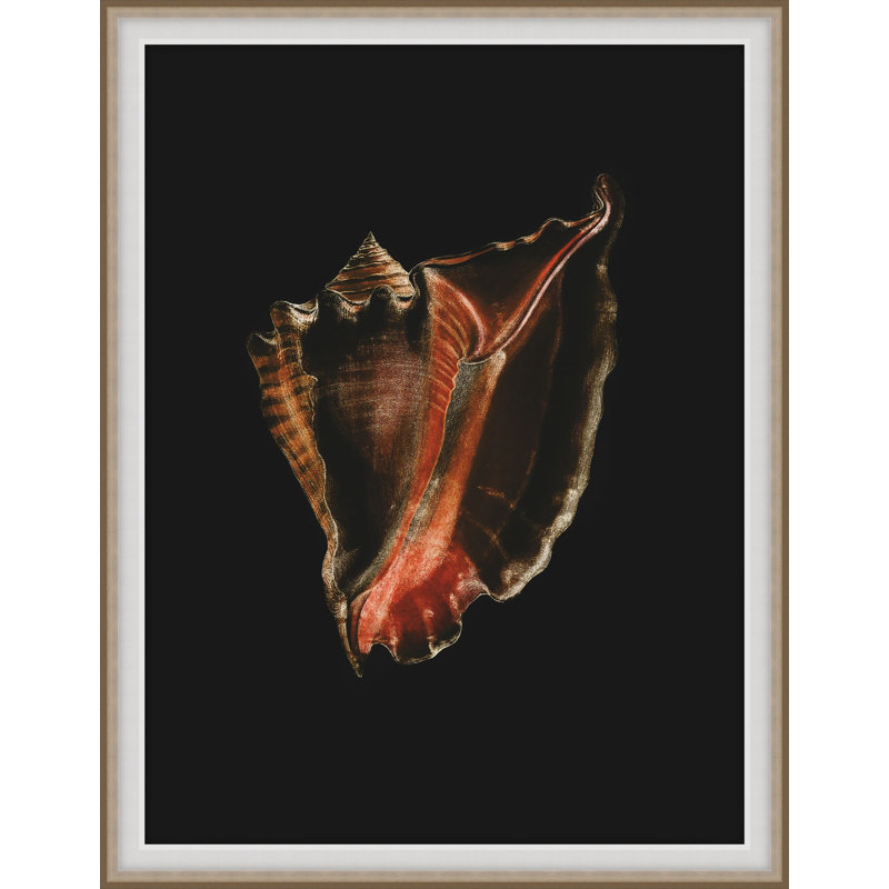 Wild Calm 4 Print by Art House Studios, 25" H x 20" W x 2" D