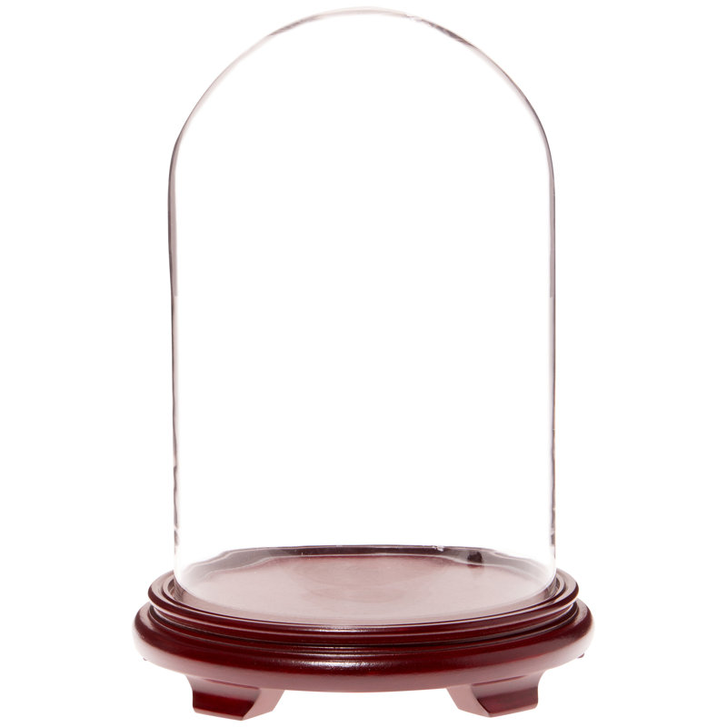 Cloche en verre 9,75 "x 15" Brighton, Base en placage de bois rouge