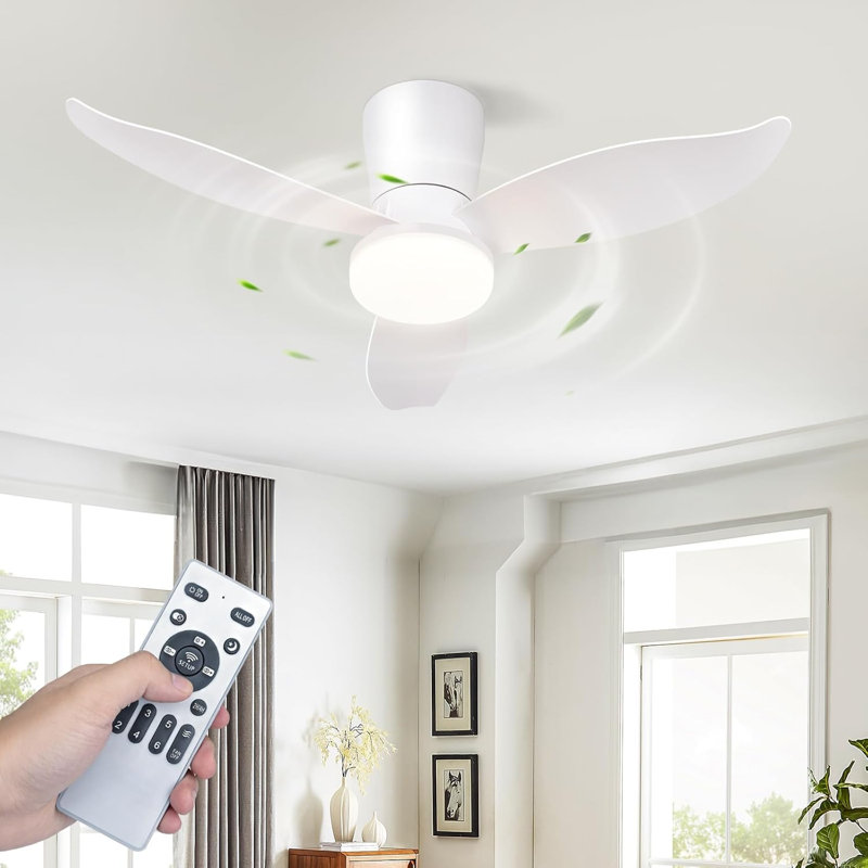 Ceiling Fan