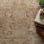 Madeleine Serapi Vintage Copper Area Rug-1992902605