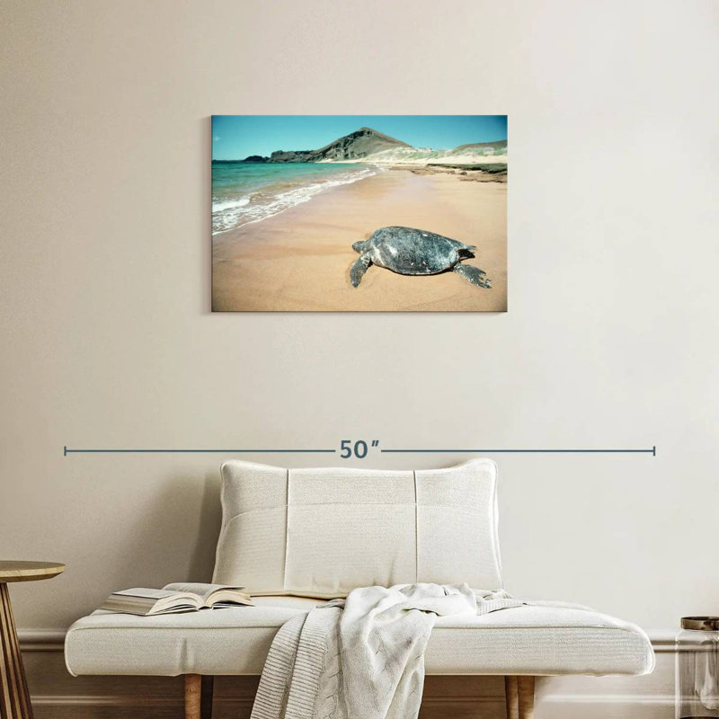 Brampt Galapagos Loggerhead Turtle, 20" H x 30" W