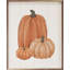 Citrouille trio orange-597834720