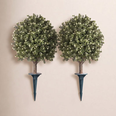Ashwell Boxwood Topiary with Base