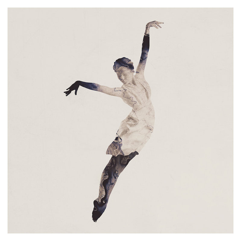 « float away ii », impression sur toile tendue, H 26 po x l 26 po x P 1,5 po