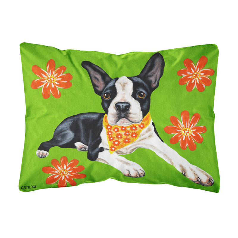  Coussin intérieur / extérieur Cutie Boston Terrier