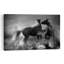 Wild Horses In Mist Dramatic Contemporary Horse Animal Nature Wall Art Print 1 Piece Wrapped Canvas Wall Art-485068854