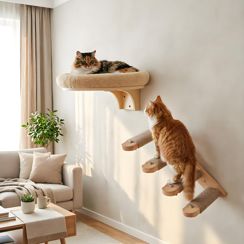 Ensemble hamac pour chat et marches