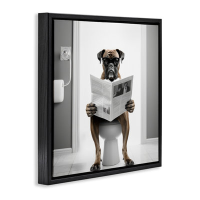Boxer Dog & Newspaper