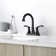 Rolfe Centerset 2-handle Bathroom Faucet with Drain Assembly